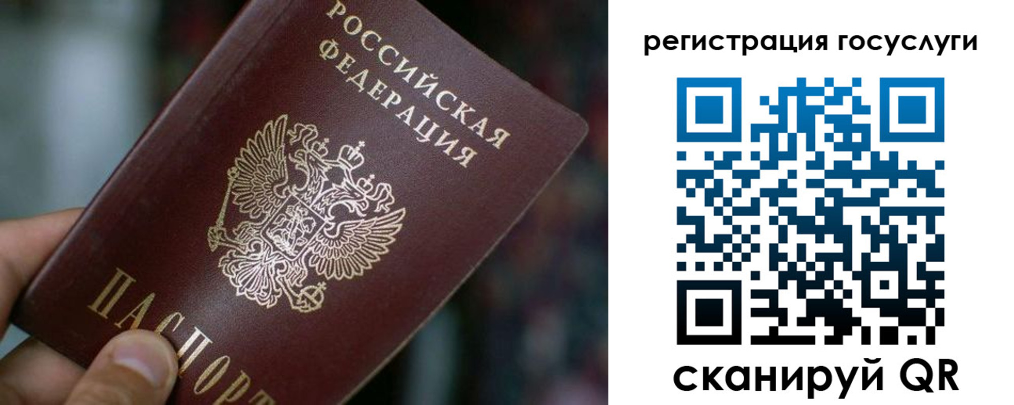 временная прописка в Михайловке
